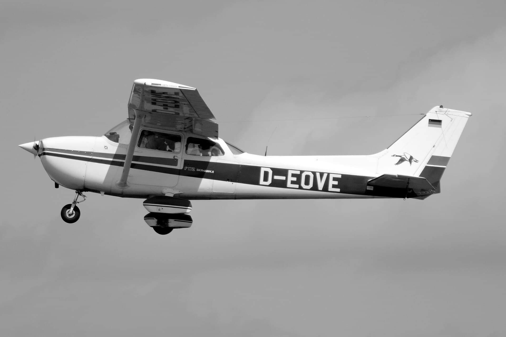 A Reims-built Cessna F172 Skyhawk in flight