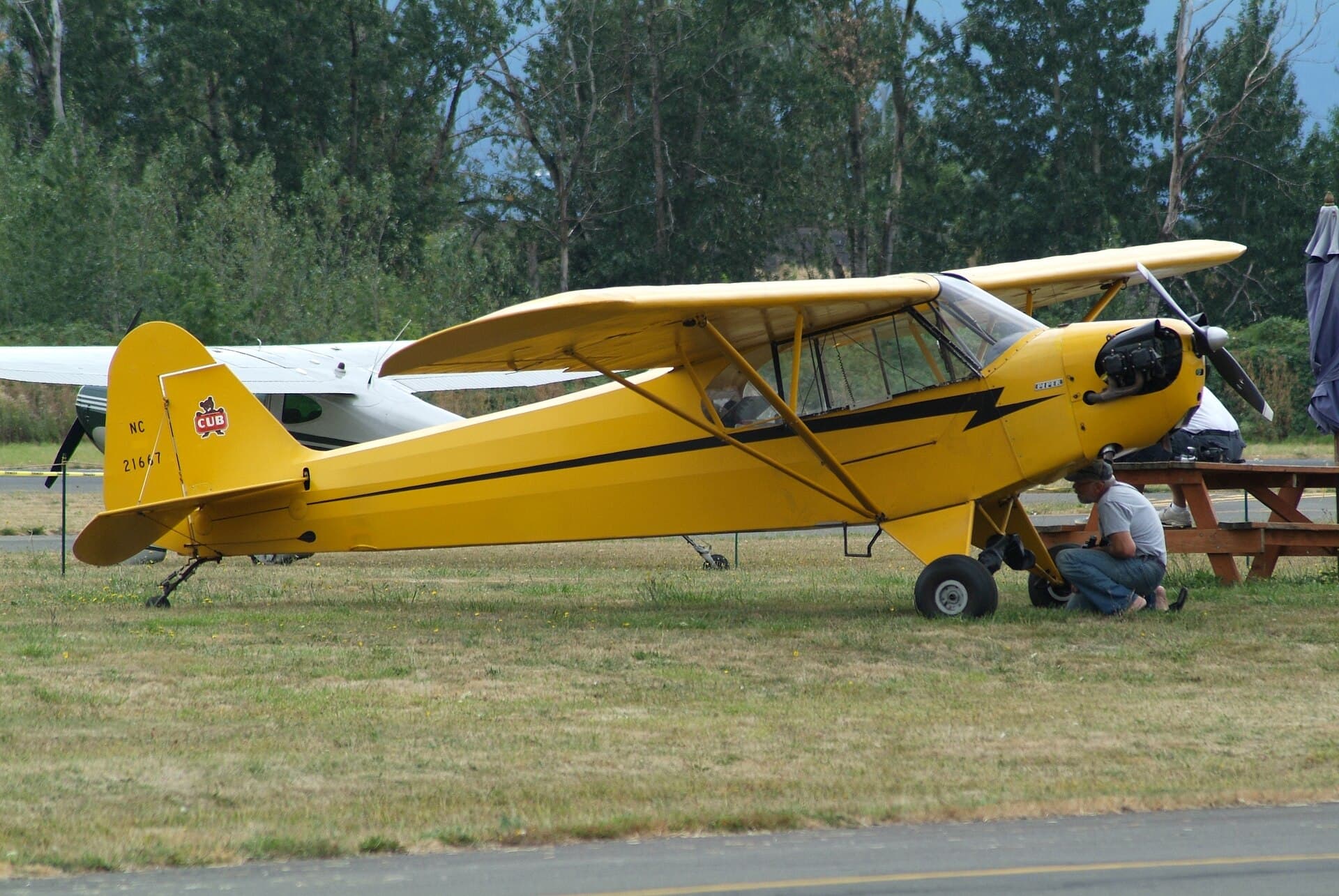 Un Piper J-3 Cub jaune à l'éclair noir stationné sur l'herbe