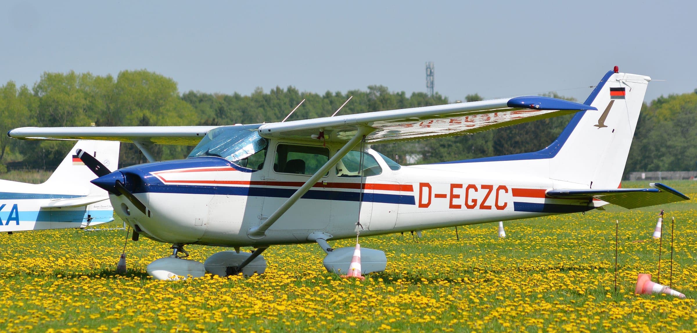 A Cessna 172P Skyhawk parked in a grass field