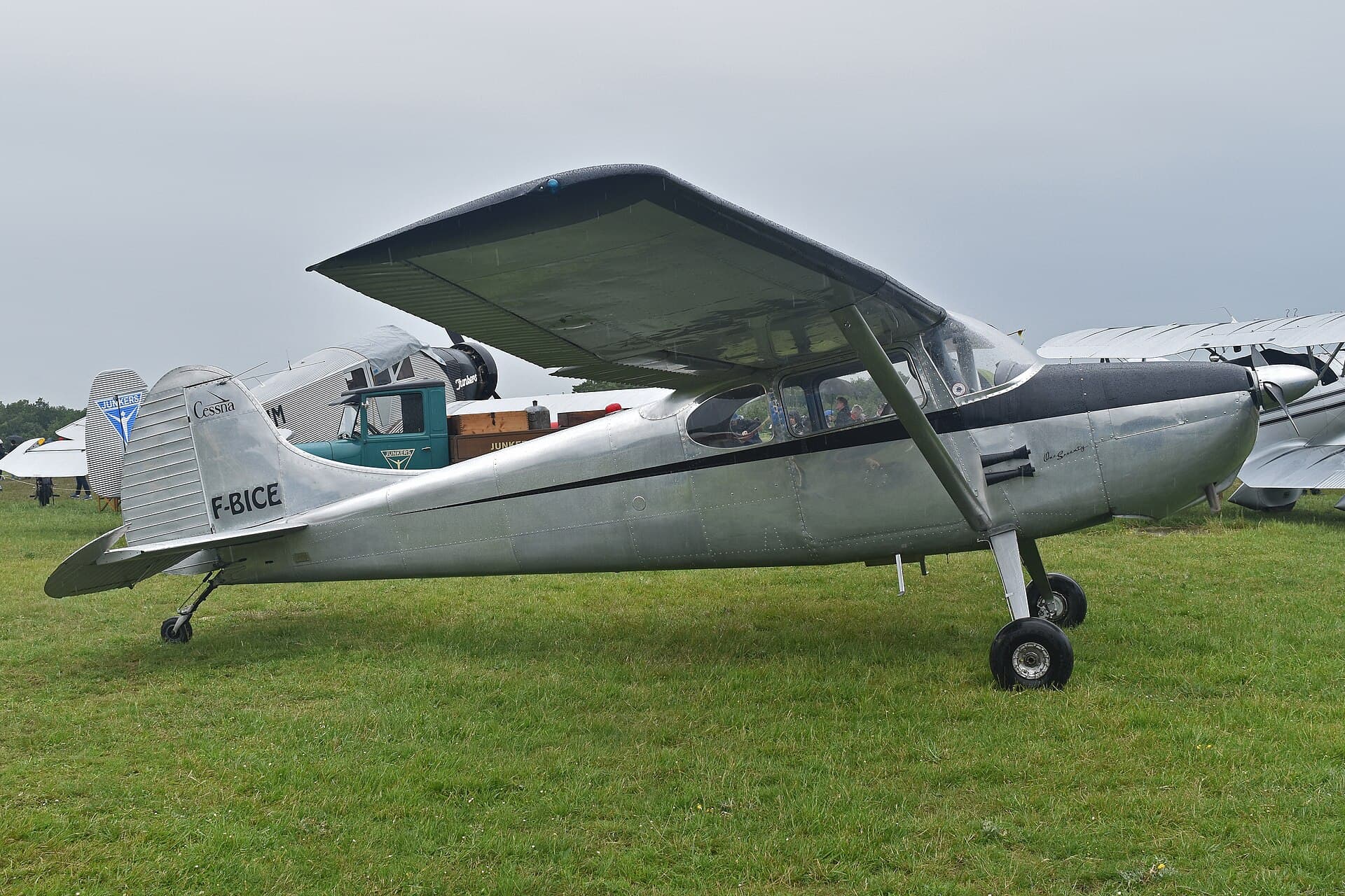 A 1950 Cessna 170B on grass, its tailwheel undercarriage clearly visible